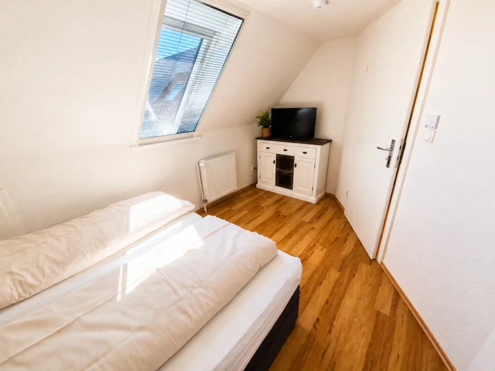Schlafzimmer mit Dachfenster und Fernseher in Wohnung 4