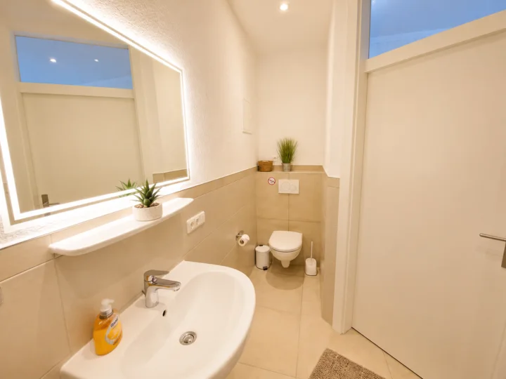 Badezimmer der Wohnung 5 mit Waschbecken und WC