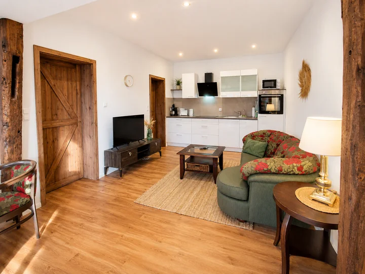 Heller Wohnbereich der Wohnung 6 mit Sofa, Fernseher und offener Küchenzeile